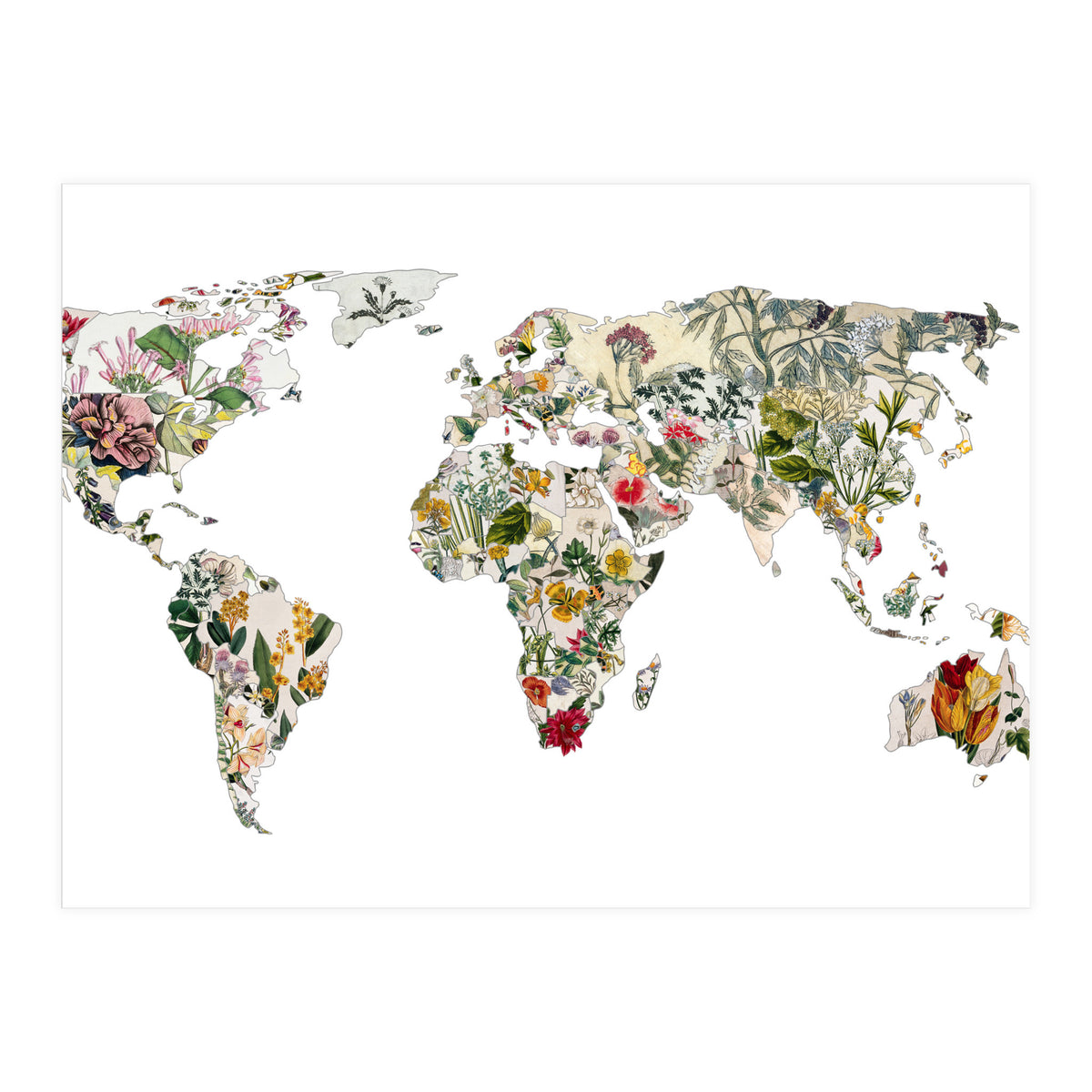 Vintage Botanical Map (Print Only)