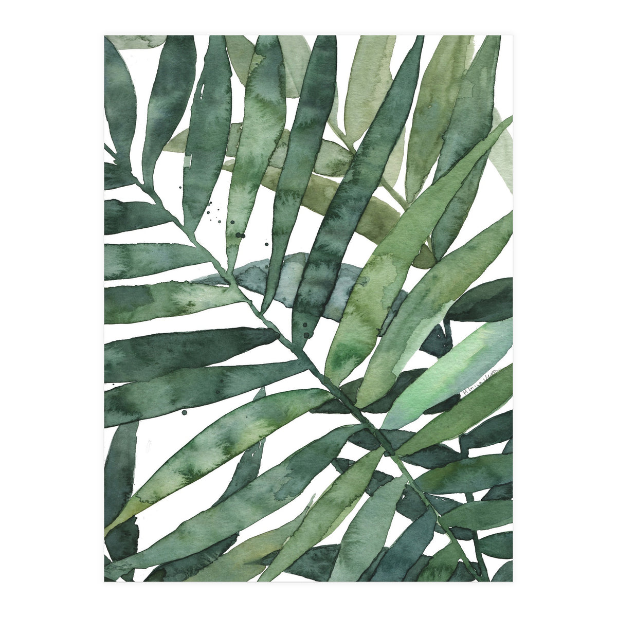 tropical 5 (Print Only)