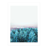 Tree Tops (Print Only) thumbnail