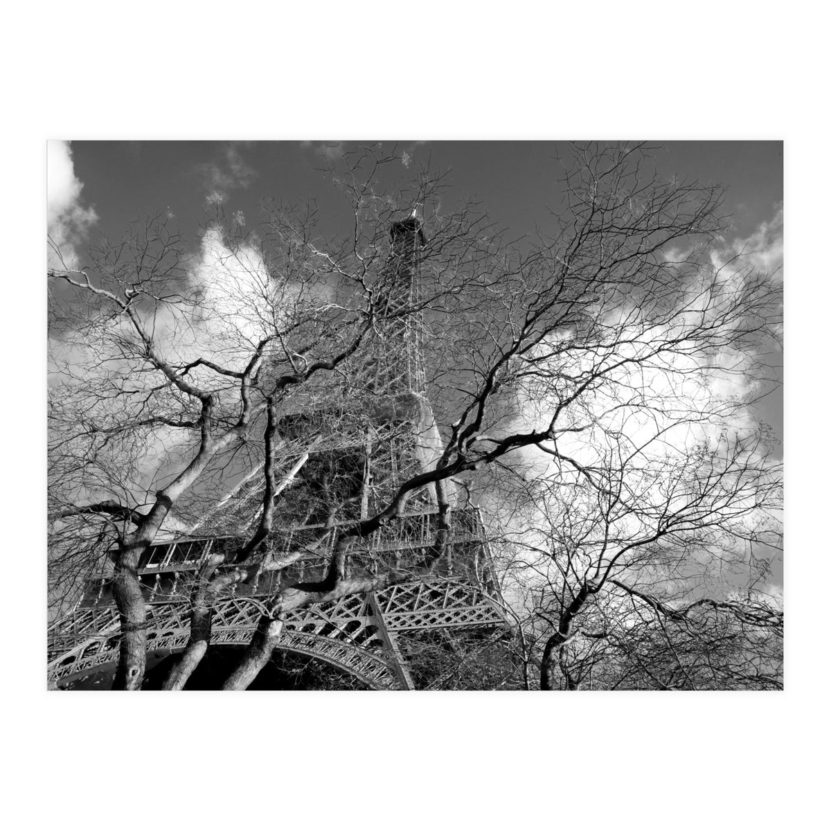 Eiffel Tower, Paris (Print Only)