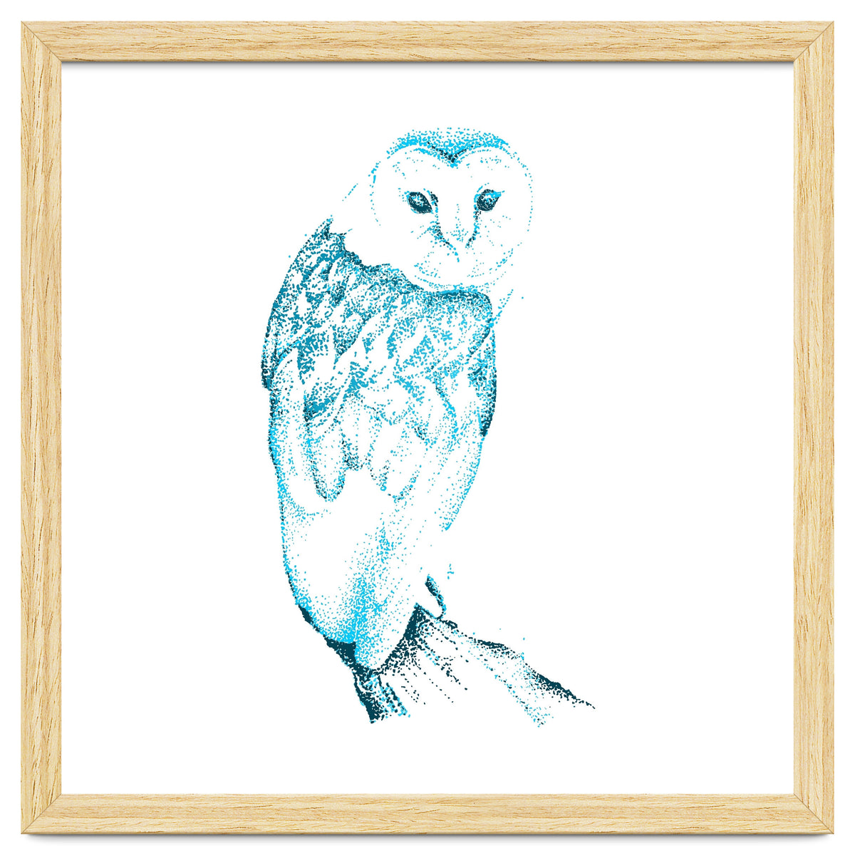 Barn Owl in Teal