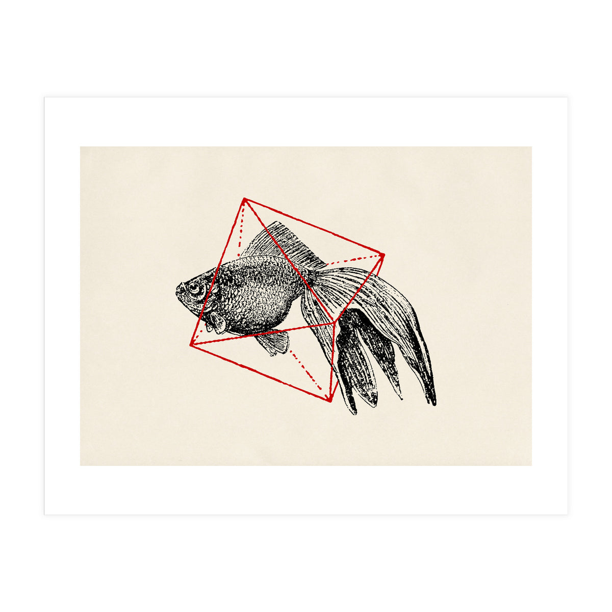 Fish In Geometrics III (Print Only)