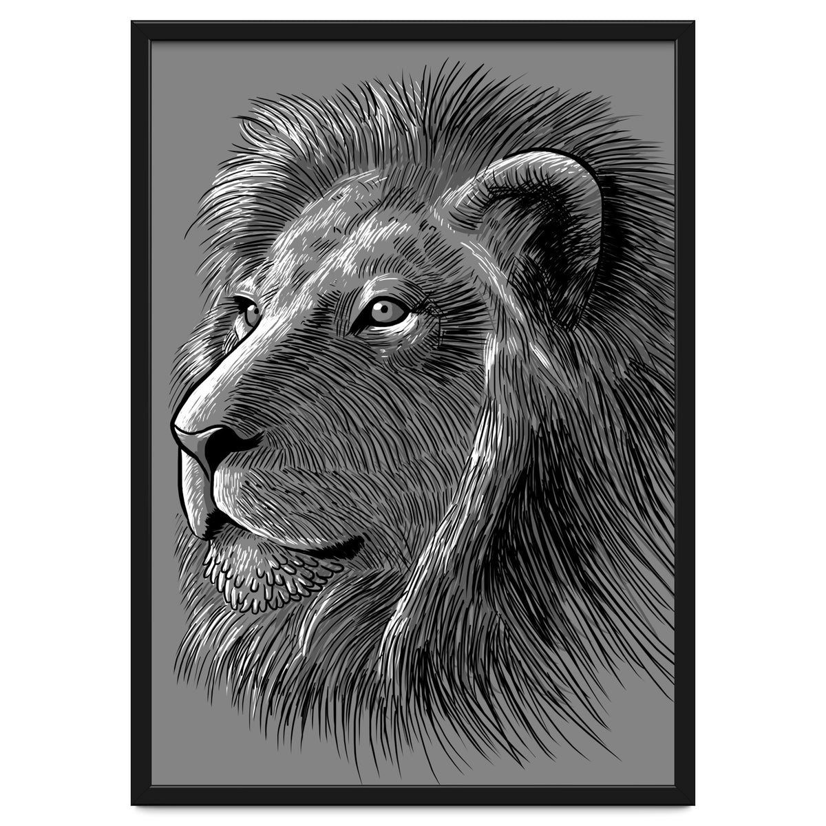 Sketch Lion