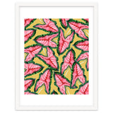 Caladium, Botanical Tropical Nature Plants, Vintage Bohemian Exotic Blush Leaves thumbnail