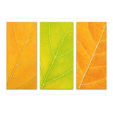 Autumn Leaves (Print Only) thumbnail