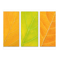 Autumn Leaves (Print Only)