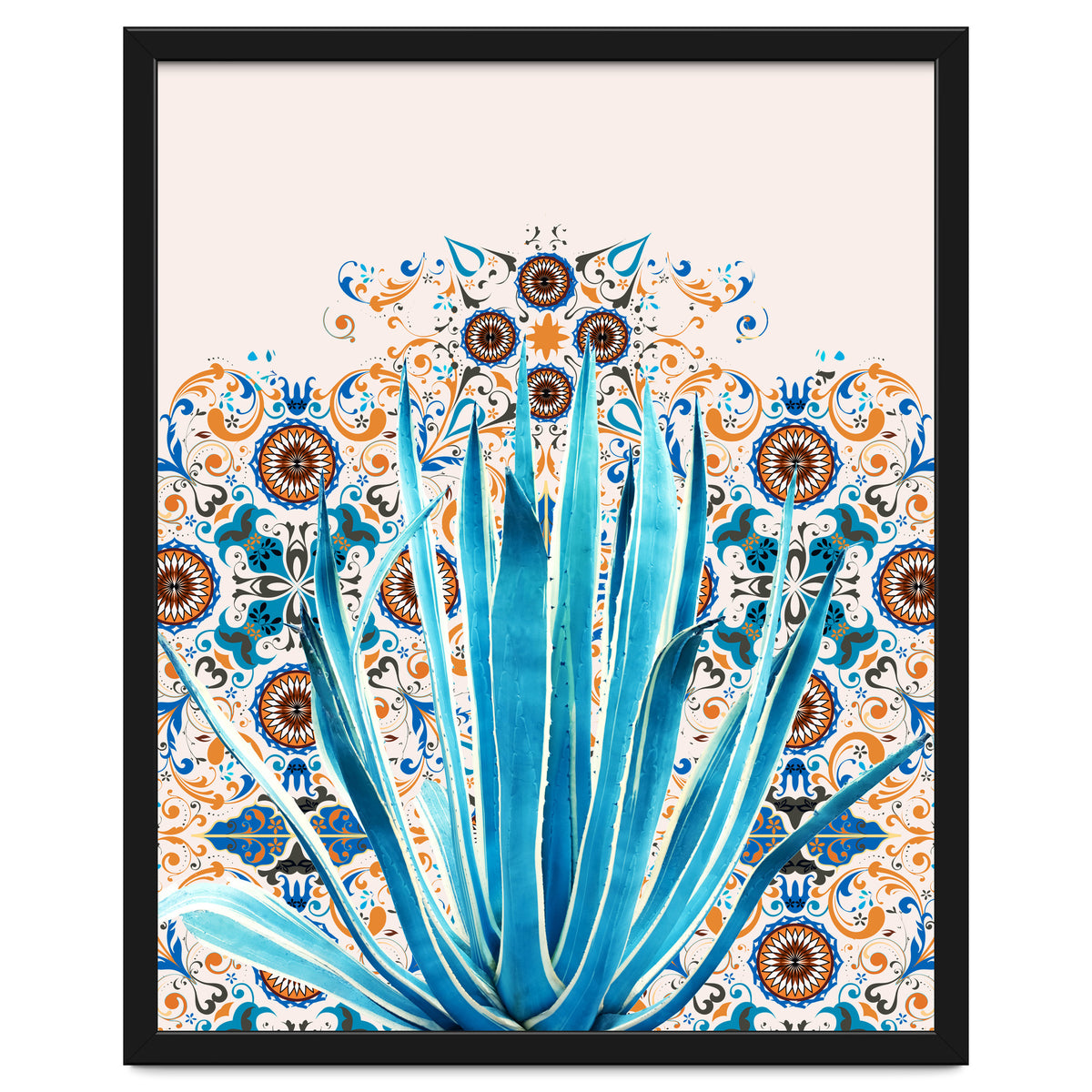 Cactus and Moroccan tiles