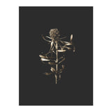 Golden Botanicals -  Square (Print Only) thumbnail