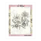Cactus (Print Only) thumbnail