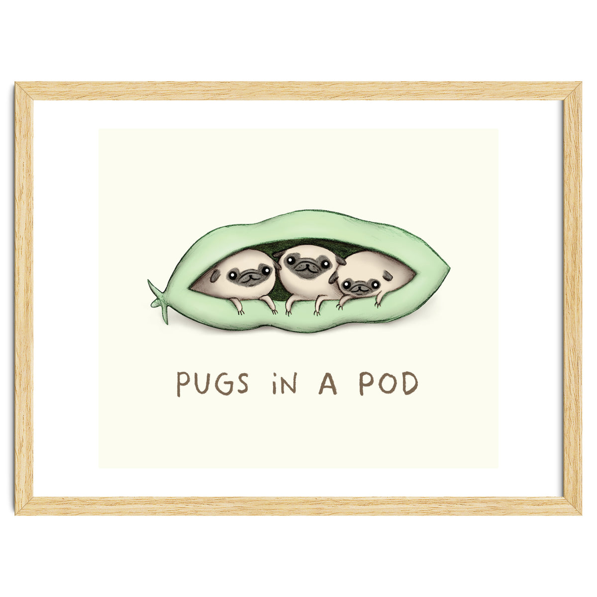 Pugs In A Pod