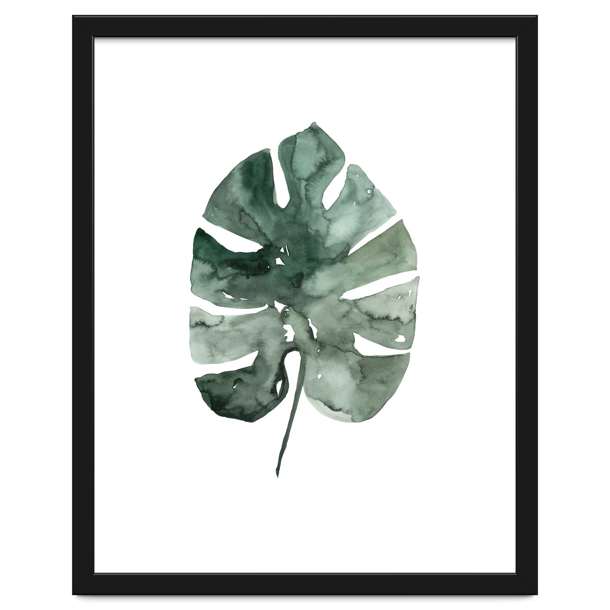 Botanical Illustration Monstera Leaf