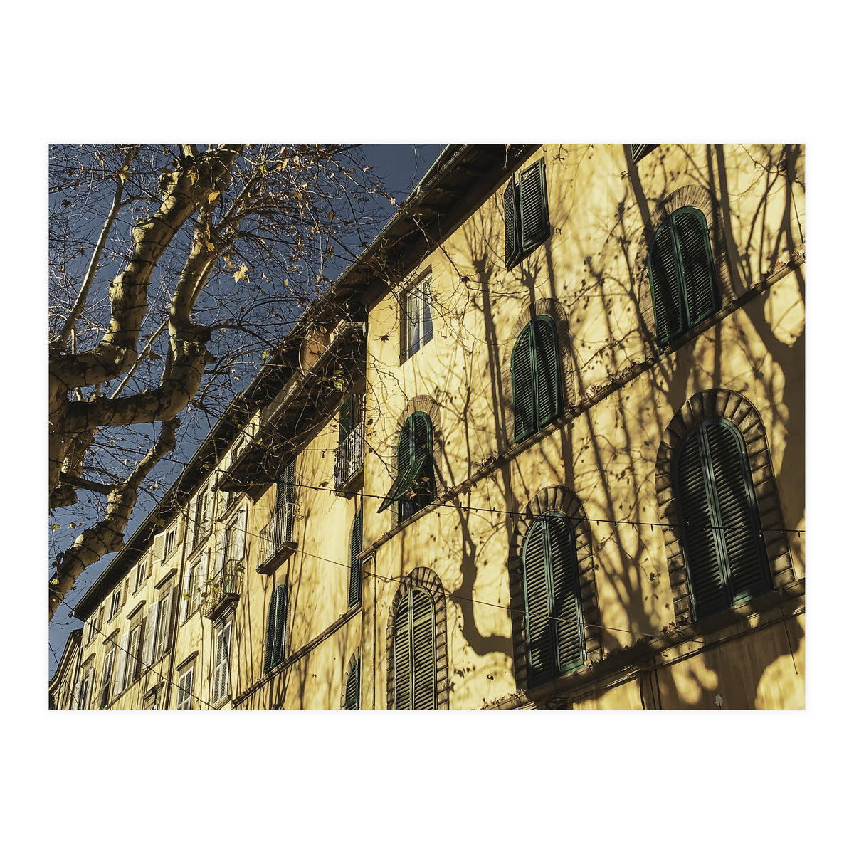 Windows From Tuscany 3 (Print Only)