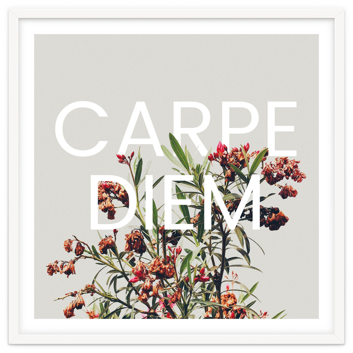Carpe Diem