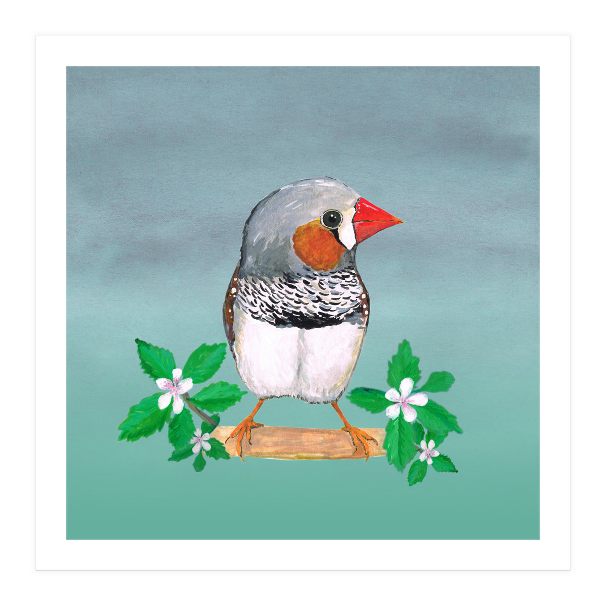 Zebra finch (Print Only)