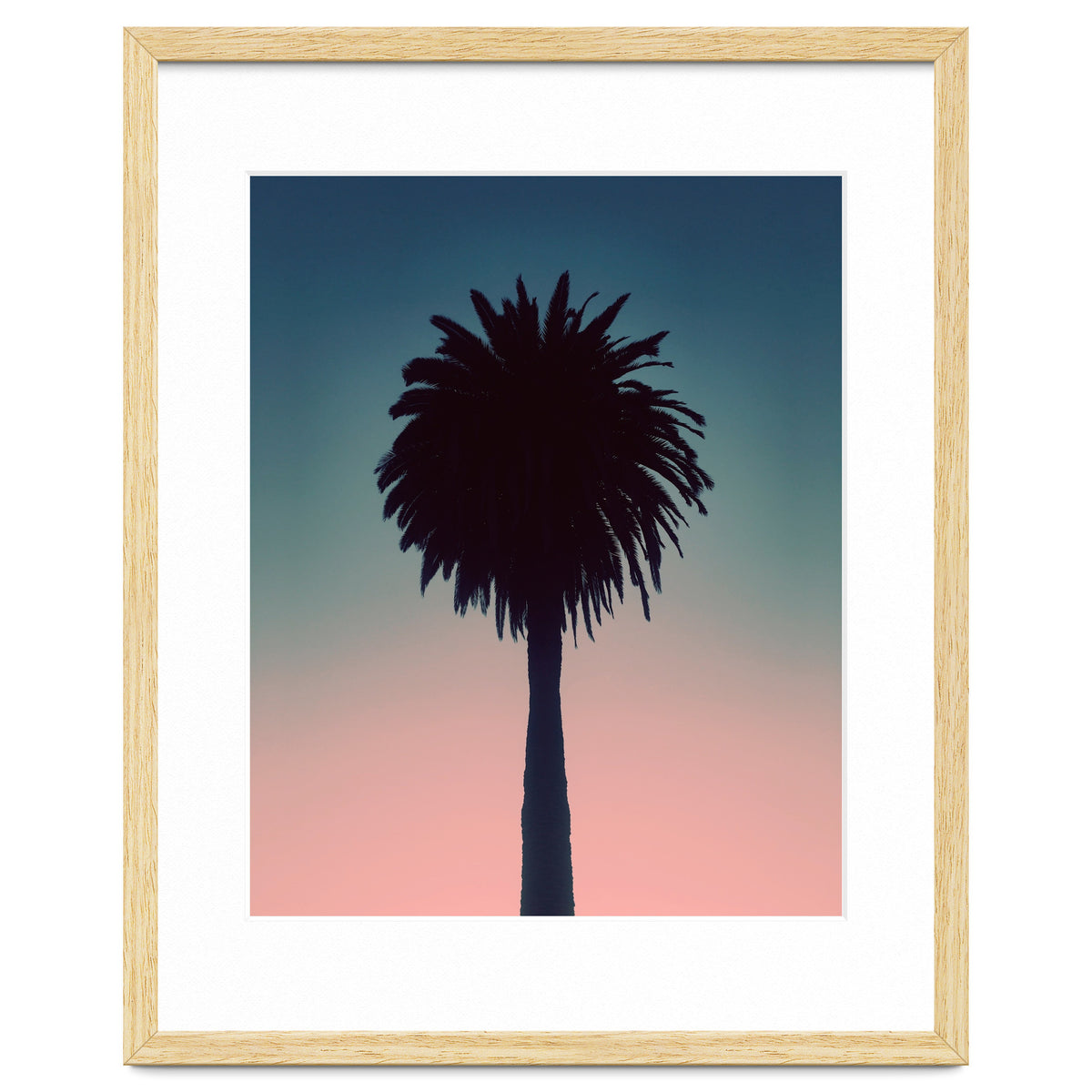 Sundown Palm