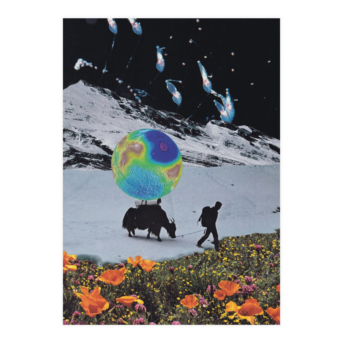 The Last Ice Age (Print Only)