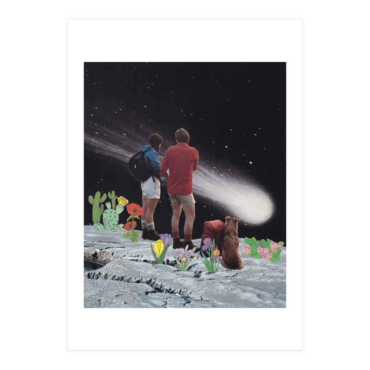 Comet (Print Only)