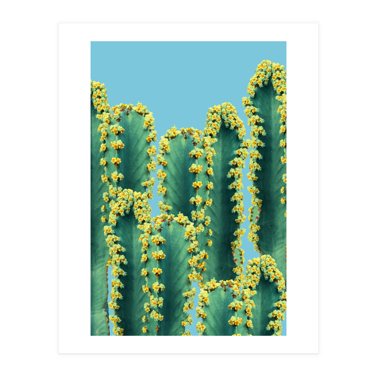Adorned Cactus V2 (Print Only)