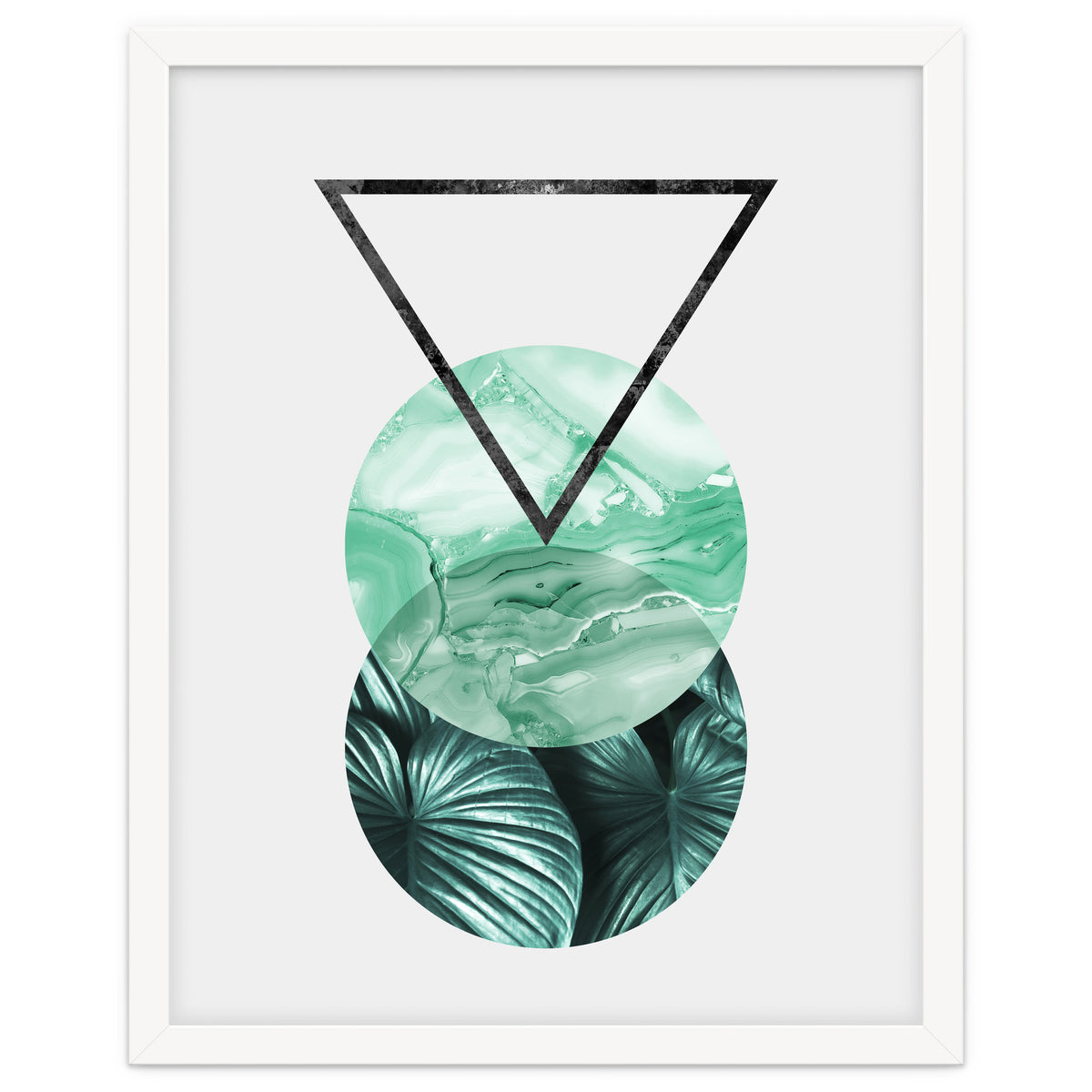 Botanical and geometric II