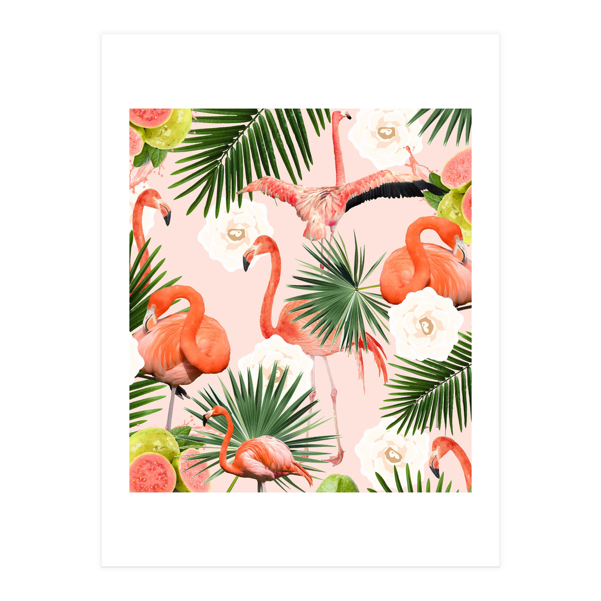 Flamingo Guava (Print Only)