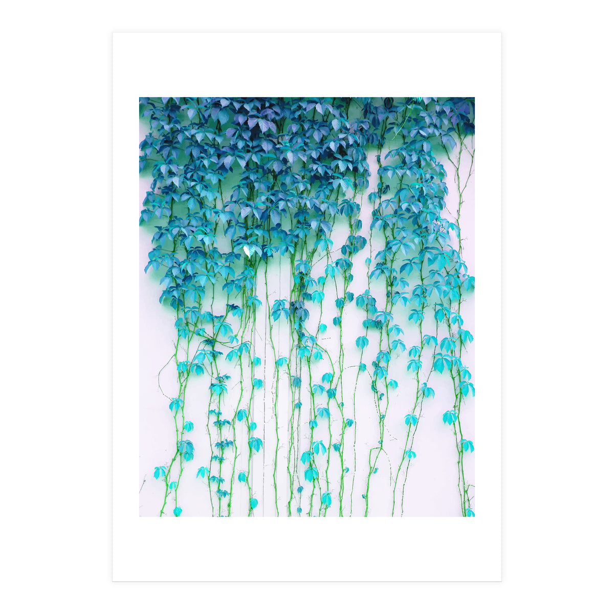 Average Absence, Botanical Minimal Nature Creepers Plants, Tropical Watercolor Bohemian Painting (Print Only)