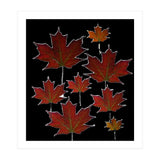 Autumn leaves (2) (Print Only) thumbnail