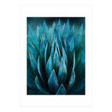Blue Succulent (Print Only) thumbnail