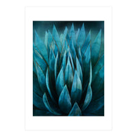 Blue Succulent (Print Only)