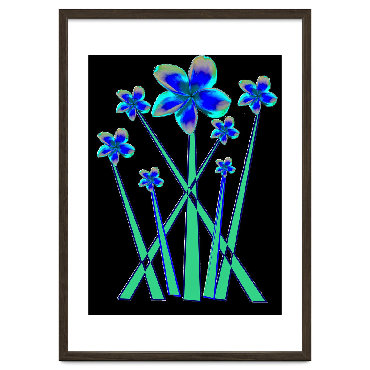 Blue flowers on black.