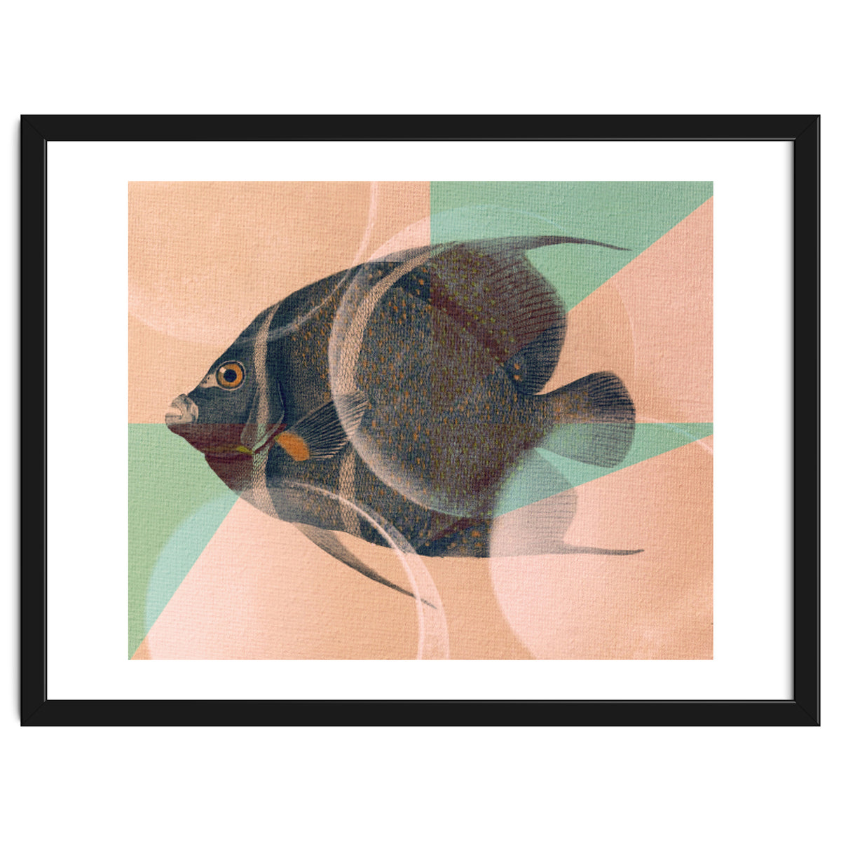 Fish Between Circles 2