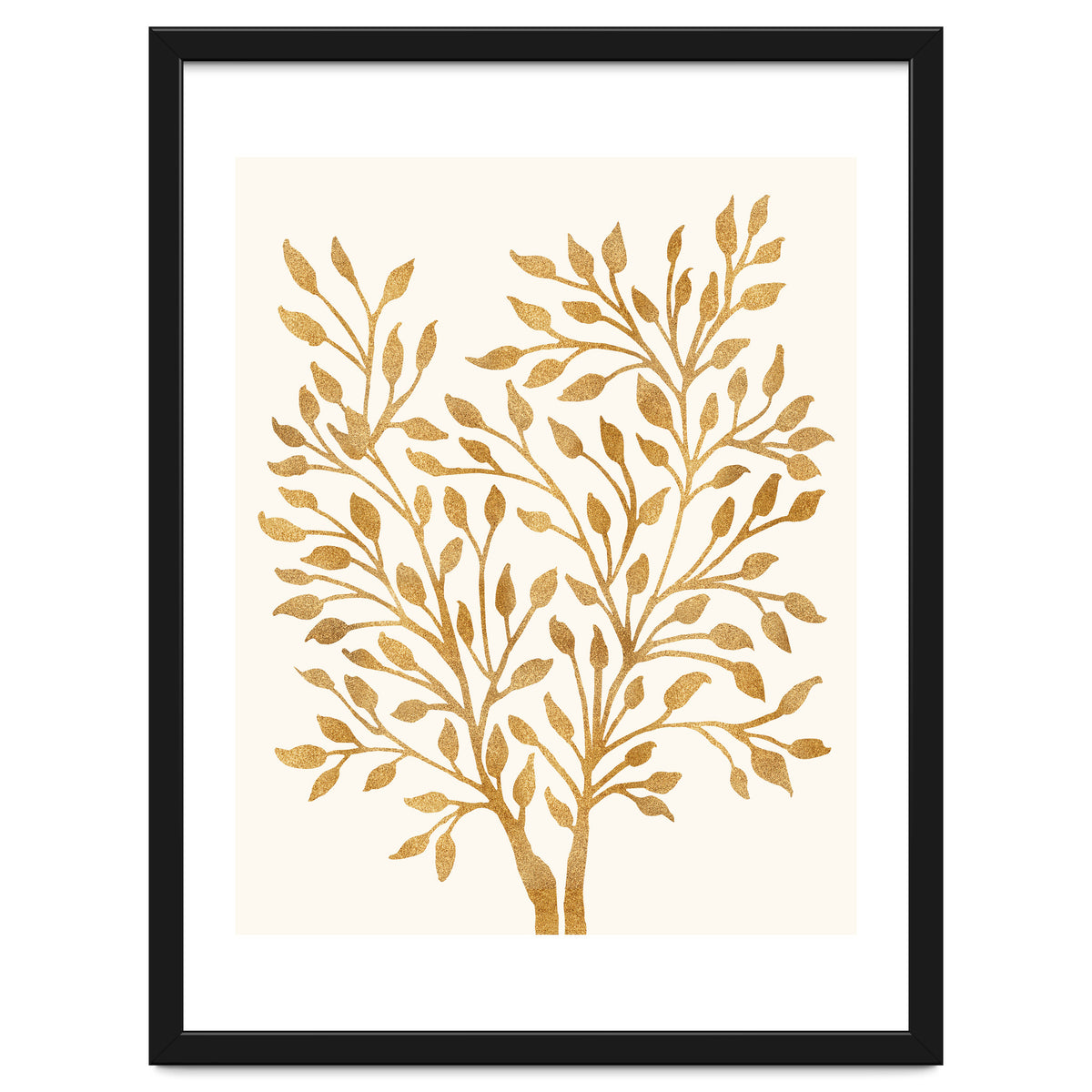 Golden Ficus 4x5