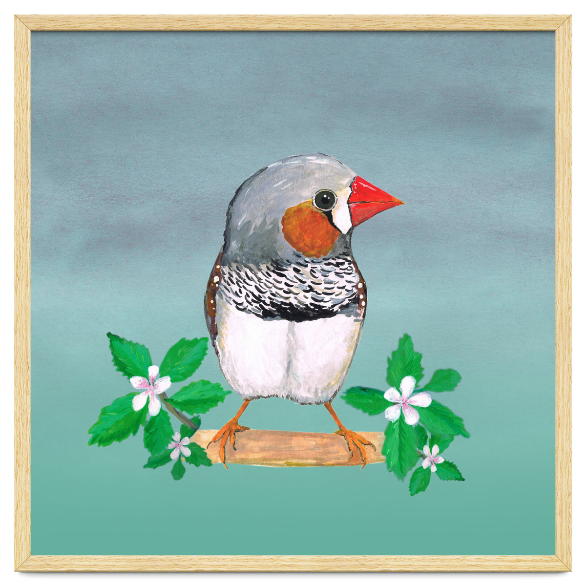 Zebra finch