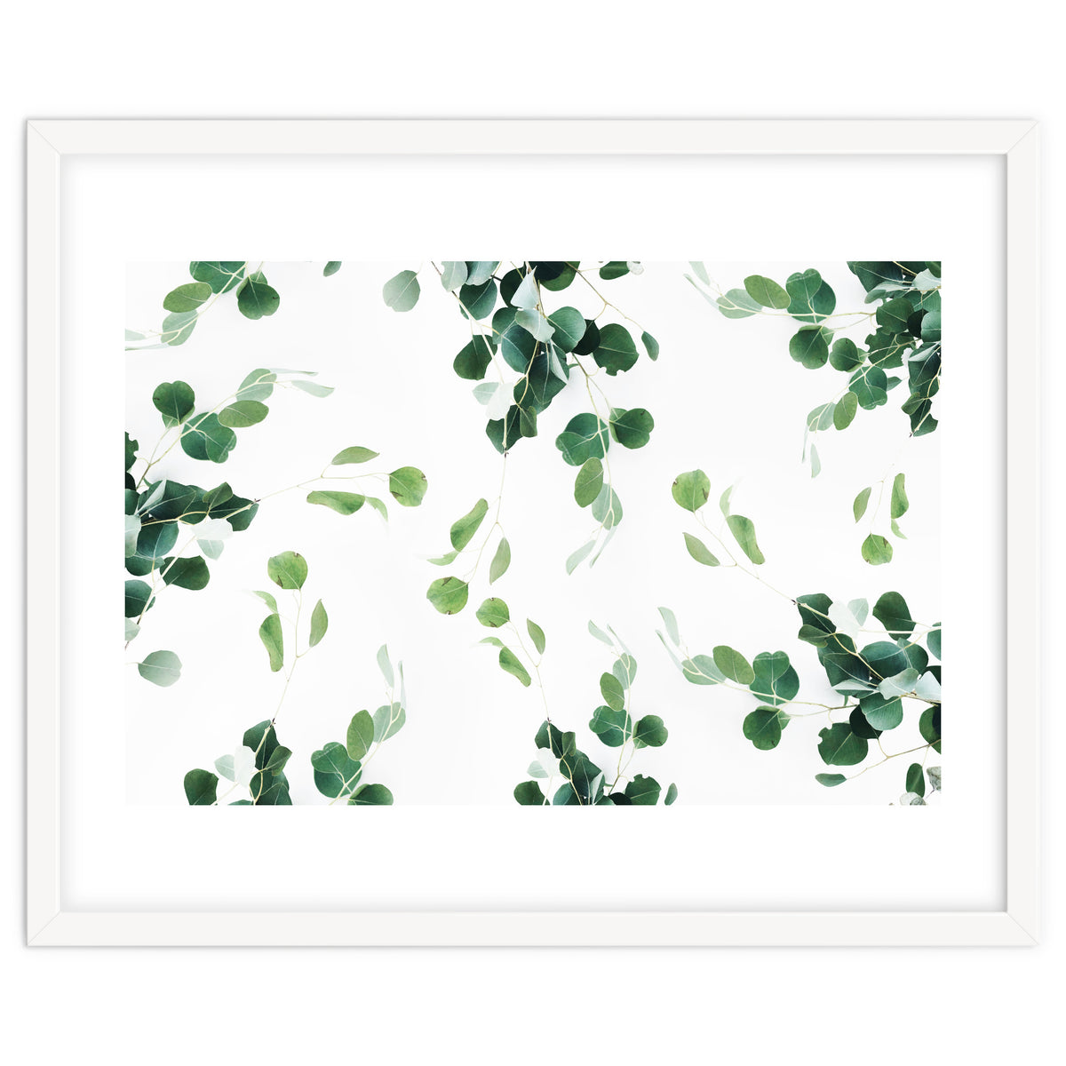 Botanical Celebration