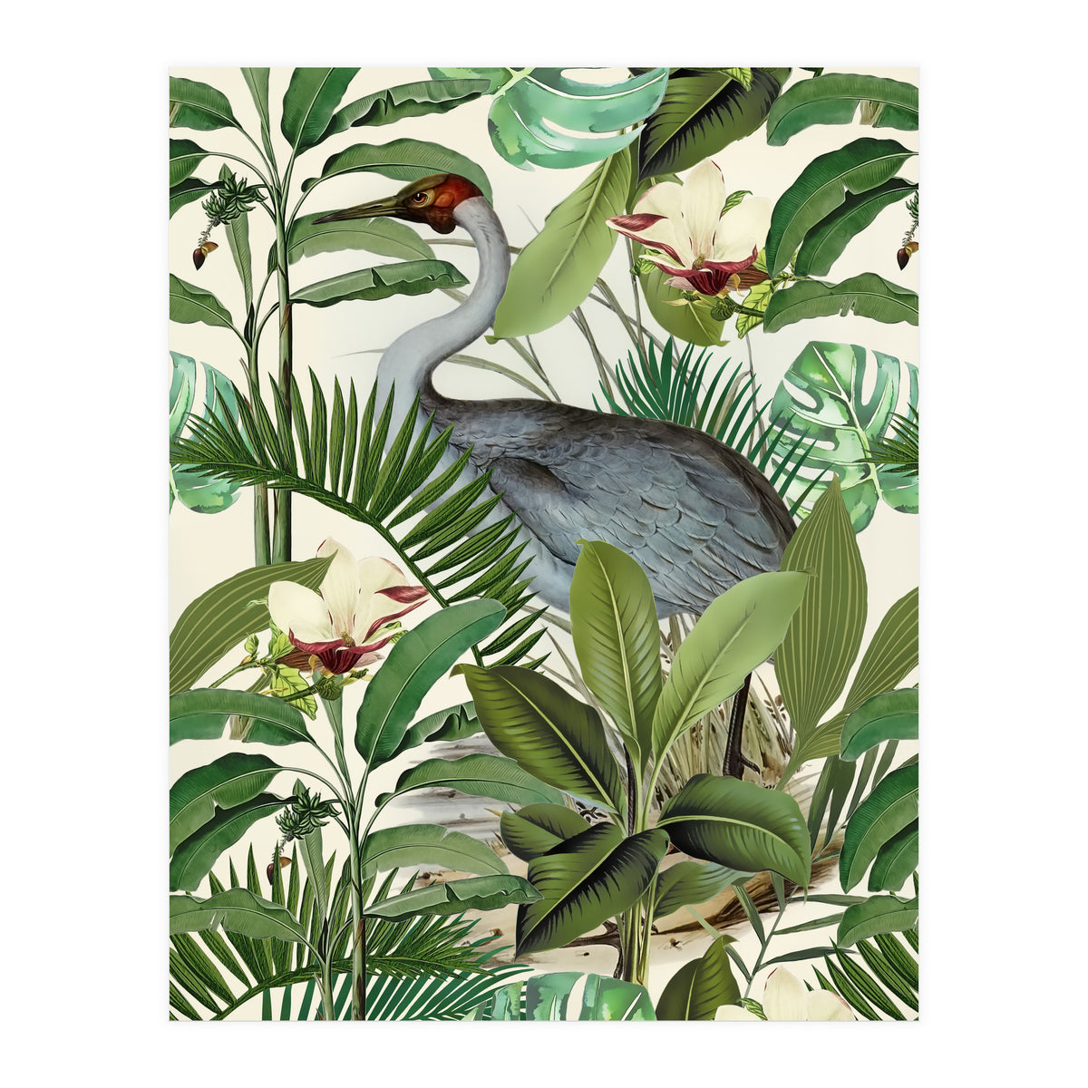 Tropical Heron (Print Only)