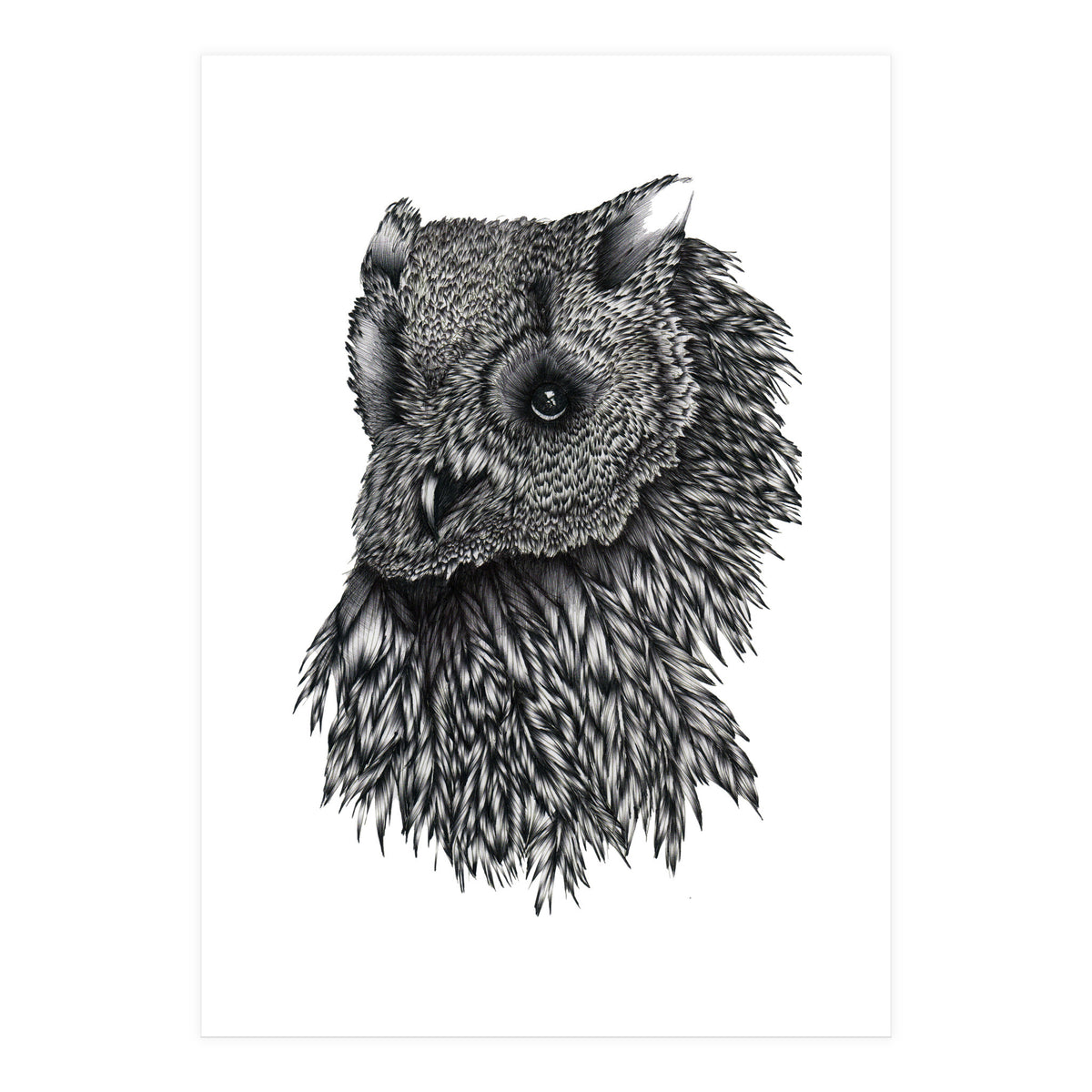 Forsythe (Print Only)