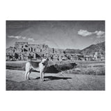 Taos (Print Only) thumbnail