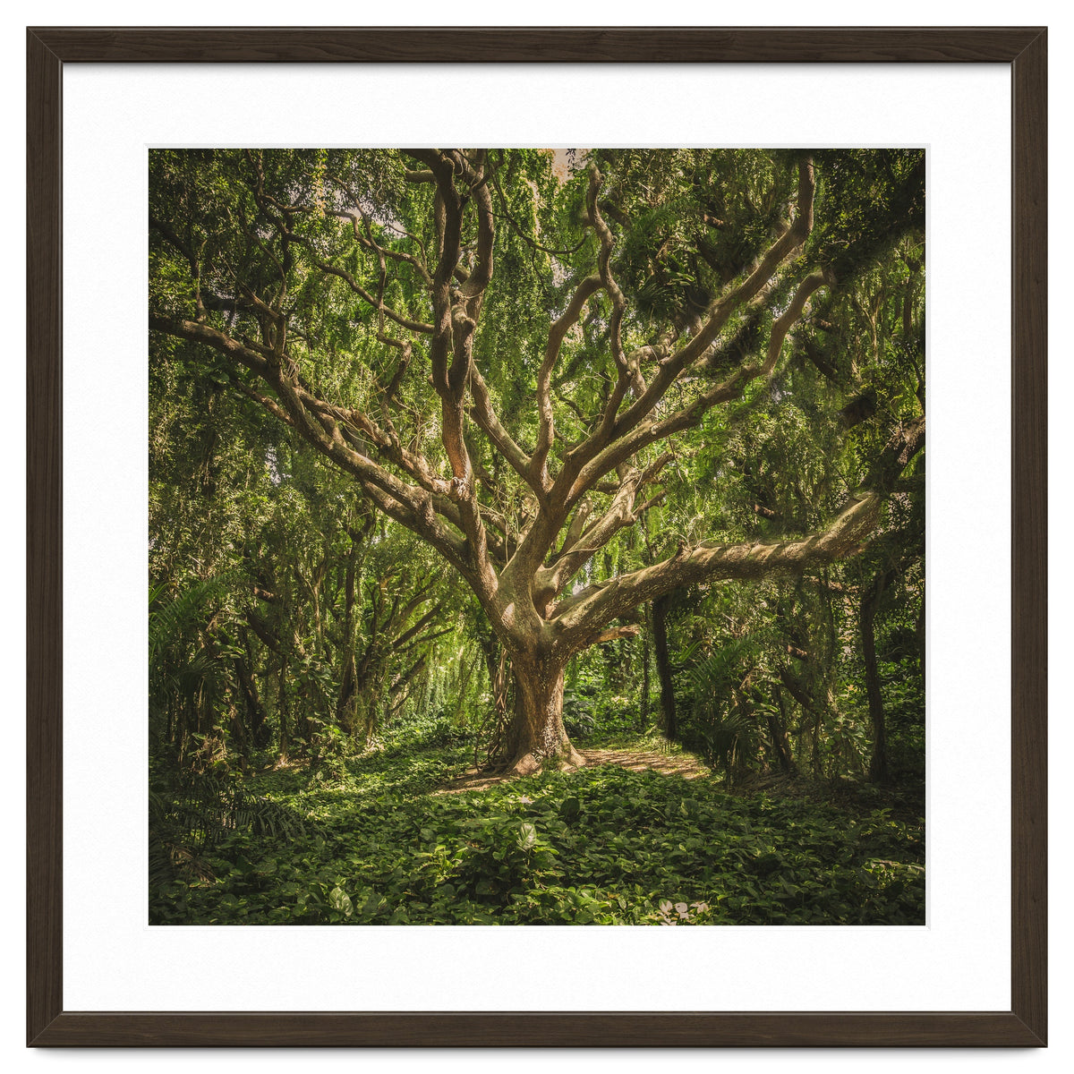 Spirits inside the wood