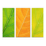 Autumn Leaves (Print Only) thumbnail