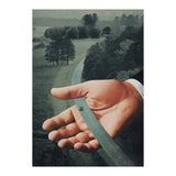 Comfort Zone (Print Only) thumbnail