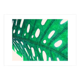 Foliage V2 (Print Only) thumbnail