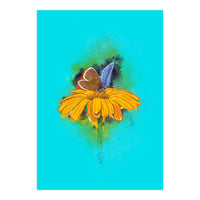 Butterfly 5 (Print Only)