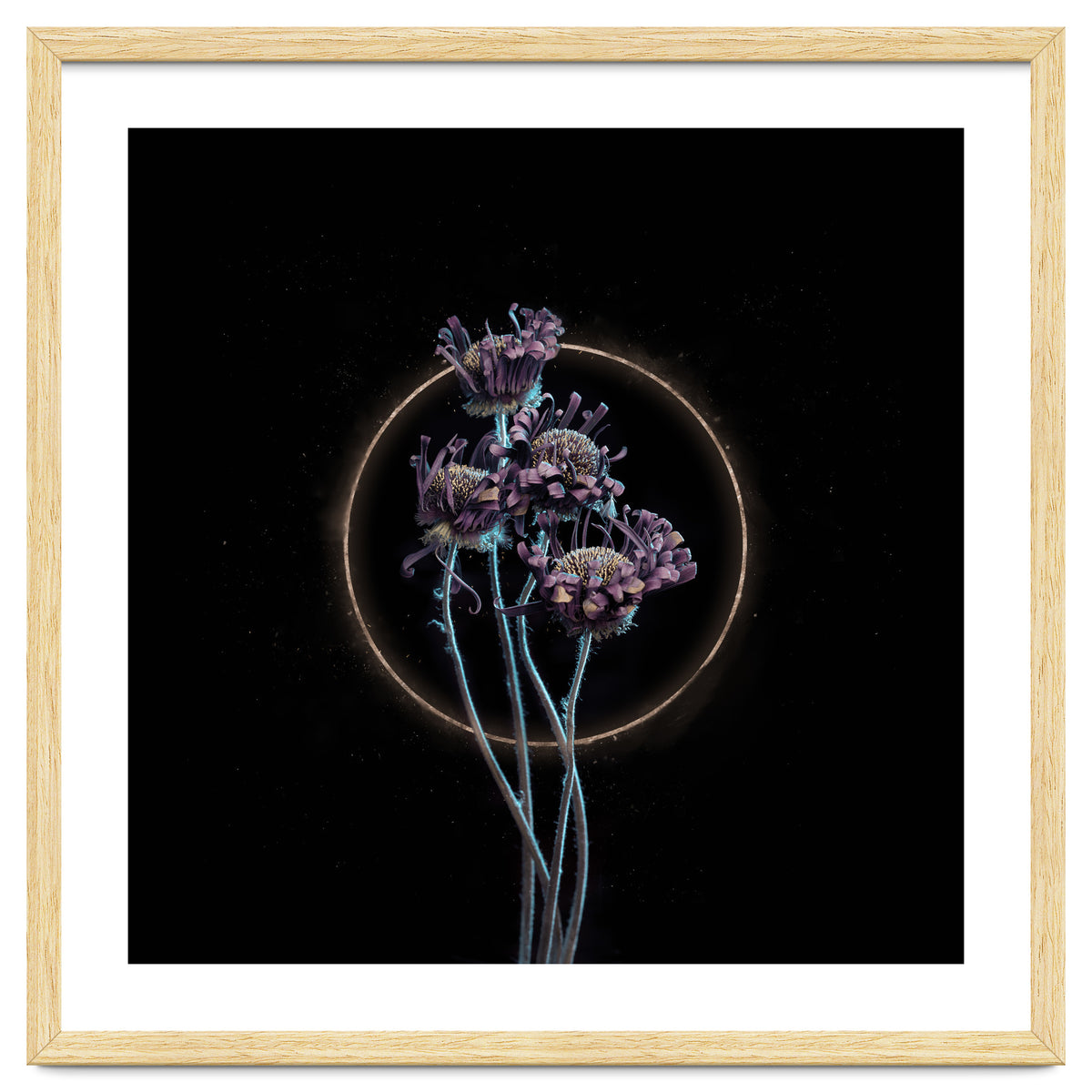 Candy-Coloured Mystery