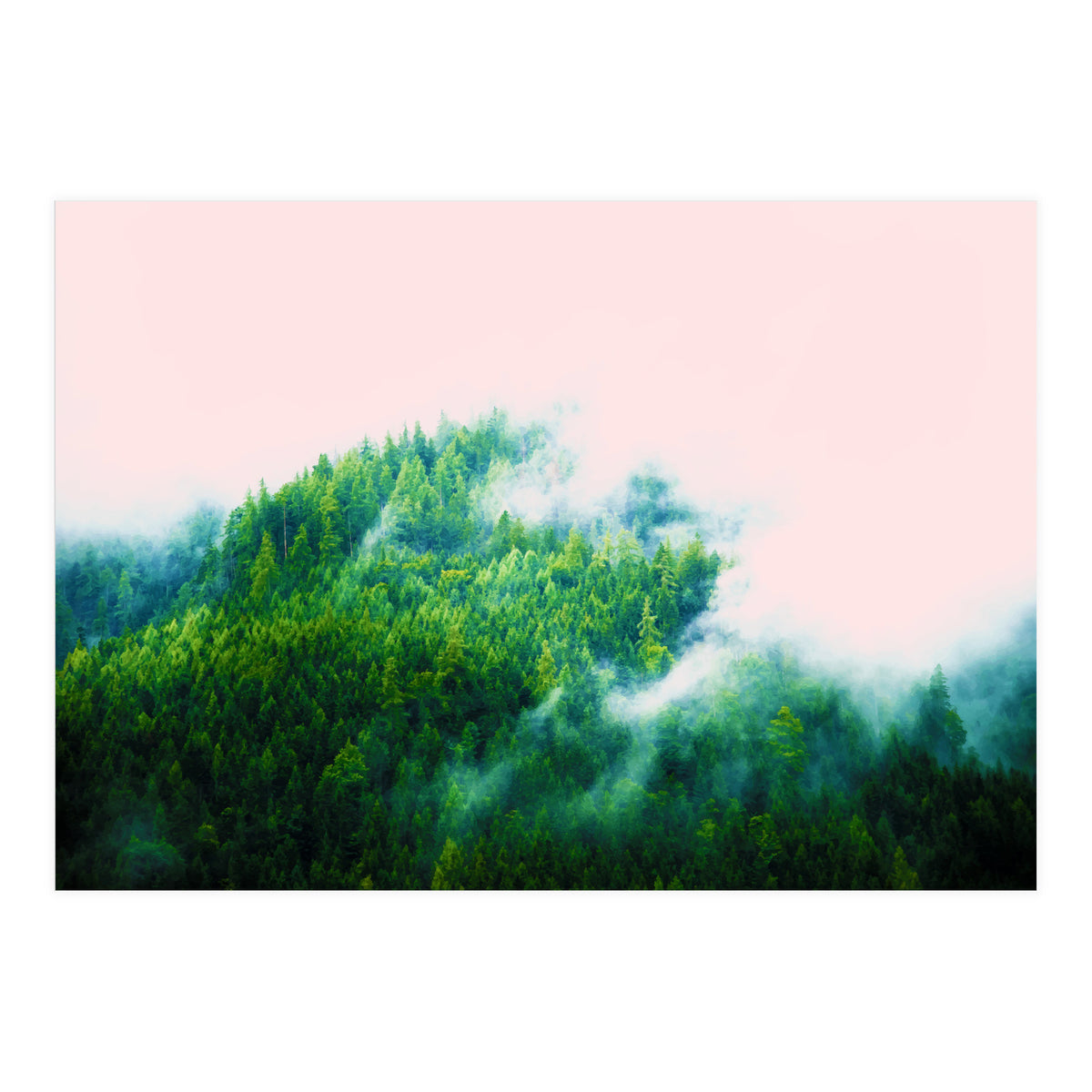 Into The Fog (Print Only)