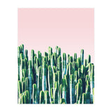 Cactus & Sunset I (Print Only) thumbnail