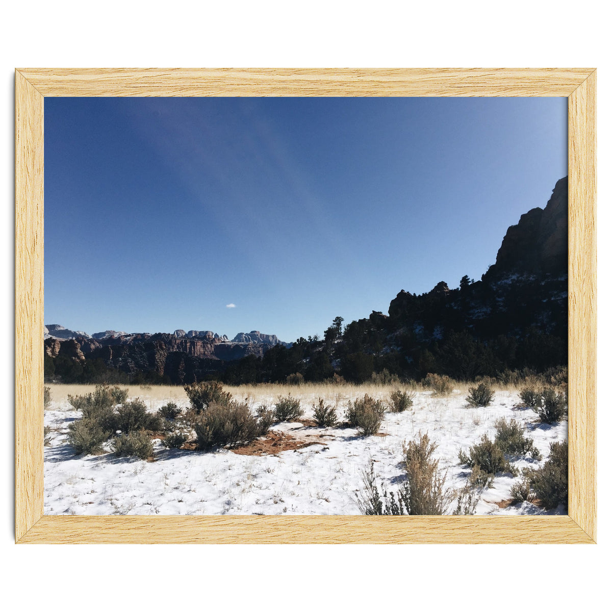 Zion National Park II