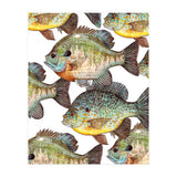 Lake Sunfish (Print Only) thumbnail