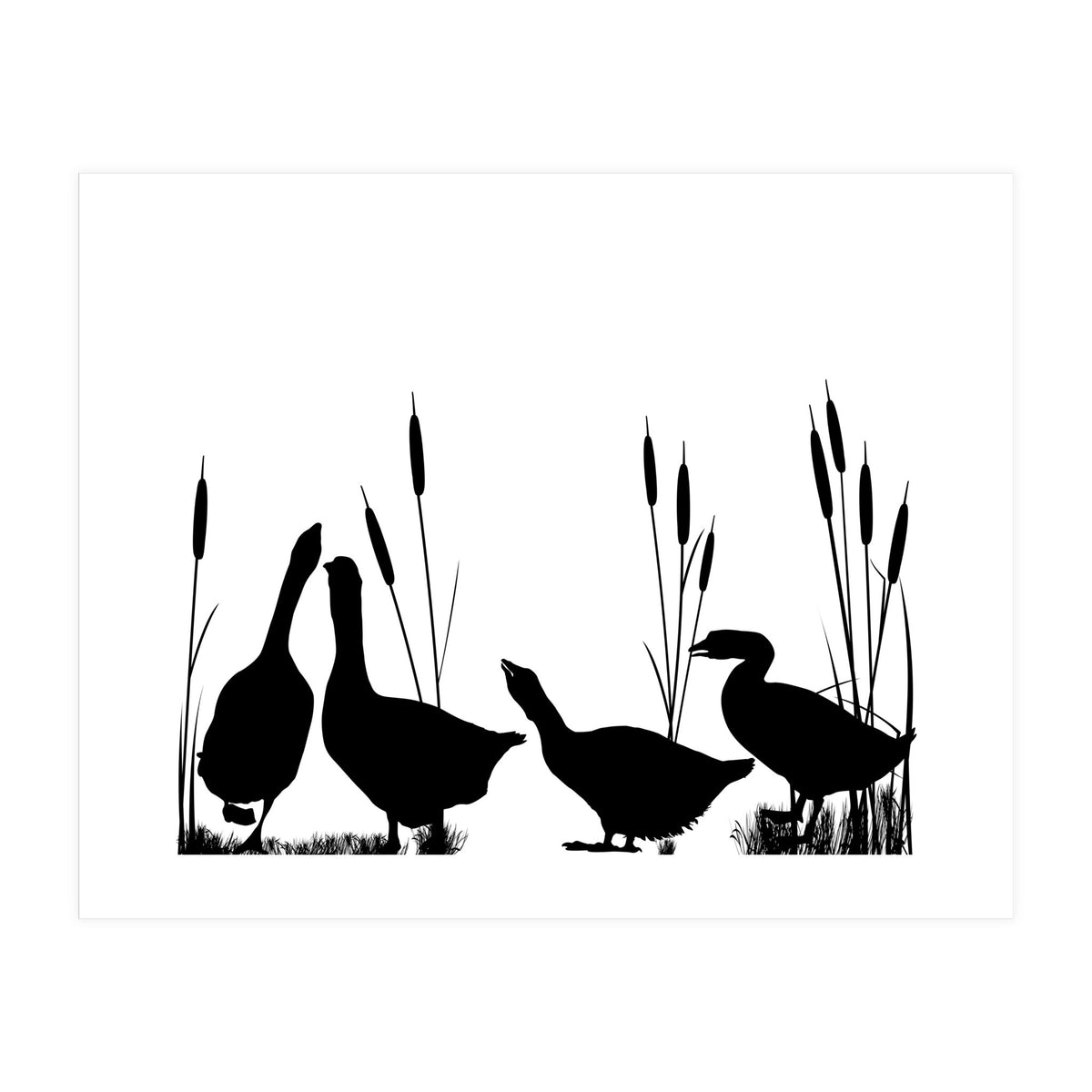 Geeses  (Print Only)