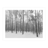 Let It Snow Forest (Print Only) thumbnail