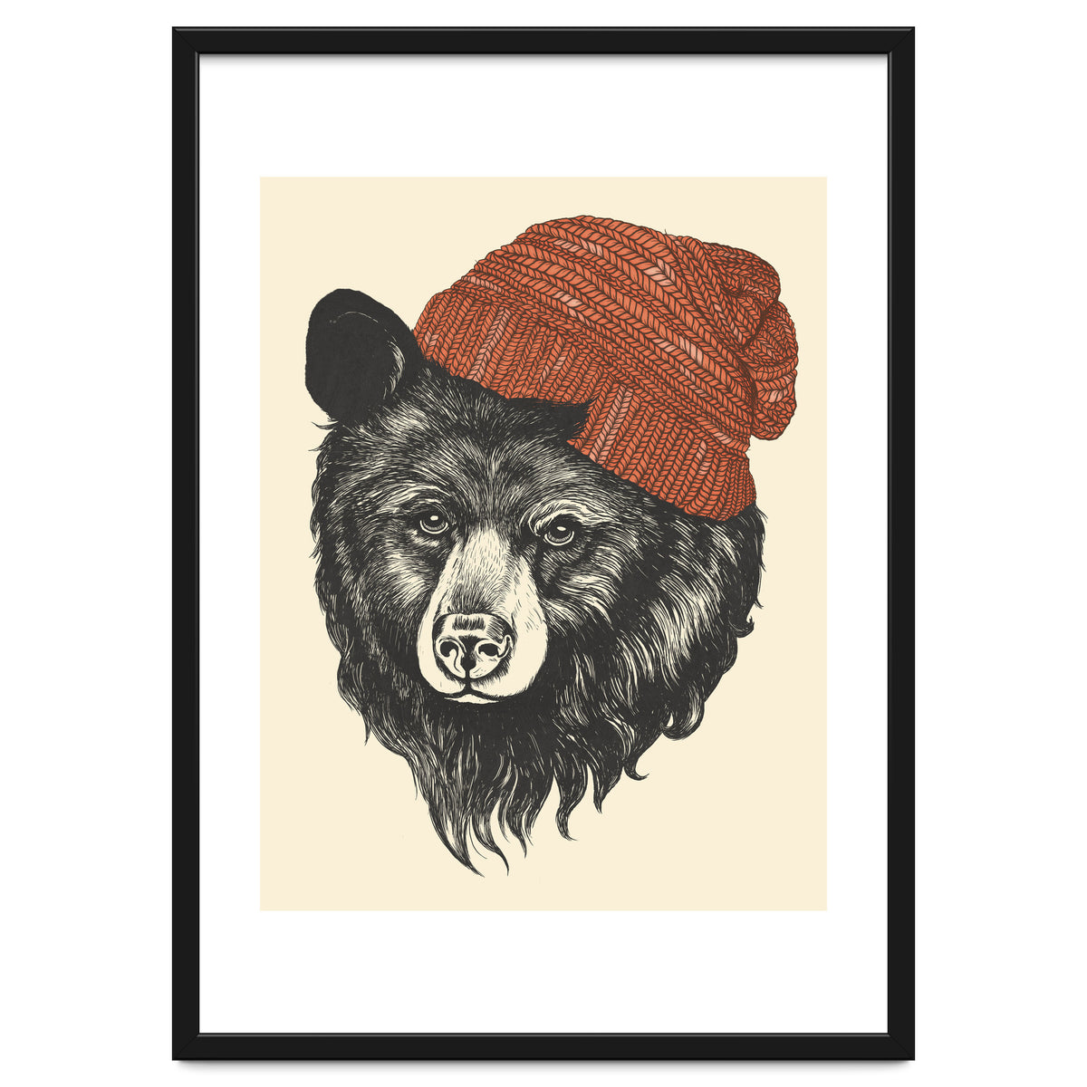 Zissou The Bear