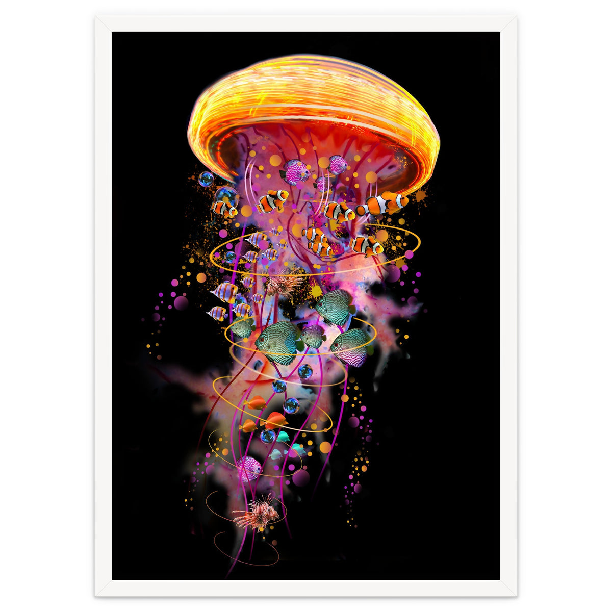 Jelly Fish Ride Summer2018 Dbh